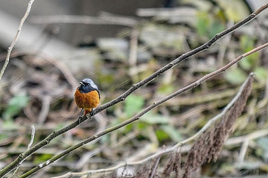 红桃国精产品二三三区|红桃国精汽车创新布局,三大系列闪耀登场,引领汽车市场新潮流-4