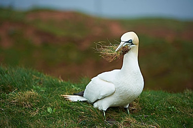女性憋尿训练|“驾驭自如,安全启程:女性司机必备的驾驶健康秘籍”-3