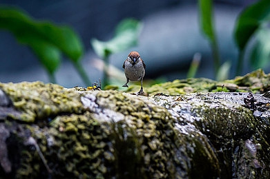 被吊起来毛笔轻挠奶头｜创新破局，豪华巨匠：全新震撼车型即将上市，性能卓越，引领潮流-3