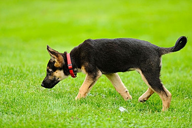 lls888|科技驱动安全升级:我国智能驾驶辅助系统引领汽车市场新潮流-2