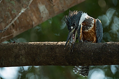 原神黄网站｜引领潮流，豪华科技，动力强劲，“原神黄网站”成市场新宠-4
