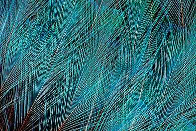 十大禁止黄色软件下载｜汽车安全护航，警惕“隐形陷阱”软件下载-1