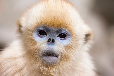 日本/调教/捆绑/紧缚|“动感线条,智能驾驭——紧束未来新风尚”-2