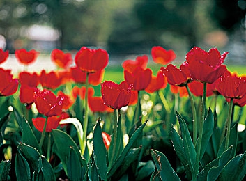 FurryGayFuckXXX动漫|“动漫灵感碰撞未来科技,独特概念车引热议,引领环保出行新潮流”-5