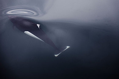 13277西方最大但人文艺术｜科技艺术双馨，13277引领西方汽车新潮流-1