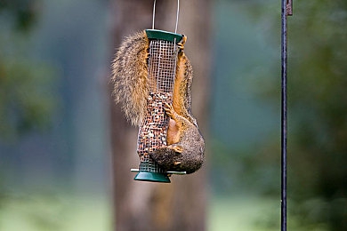 国产电影av|“创新动力,光影交织,共筑汽车文化新篇章”-3