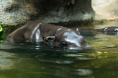 能一对一黄聊的app｜汽车行业新突破：社交软件助力车企与消费者零距离互动-4