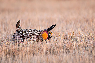 国产亚洲成人AV｜时尚智驾，品质领航，国产新锐风采绽放-1