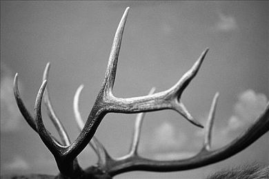 解剖割头血腥网站入口｜智能护航，安全启程，科技驱动未来-1