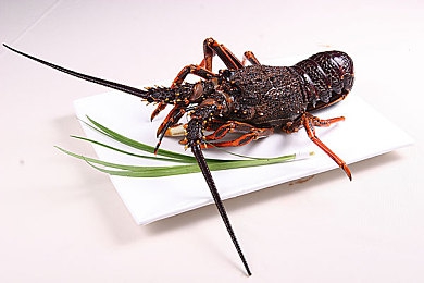 强开乳罩摸双乳吃奶羞羞www|“智能操控,触控新境界,车载娱乐体验革新之旅”-4