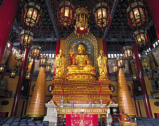 日本护士挤奶水2|天然纤维新材,车内清新环保新体验-2