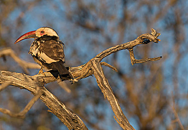 男人把困困放在女人困困里｜“环保简约，智能趣驾，困困汽车引领潮流新风尚”-1