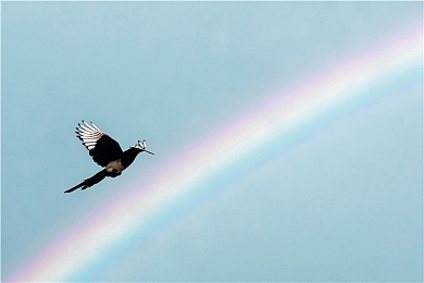 火影18十|引领潮流,性价比高!"火影"新车型受年轻消费者热捧,内外兼修成市场新宠-2