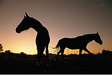 麻花传剧原创mv在线看小说｜梦想飞驰跨界营销创新，视觉阅读盛宴诠释未来出行新标杆-1