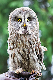 日本老熟妇厨房乱偷|汽车行业警示:资深员工偷泄机密,揭秘日本企业内部惊人事件-3