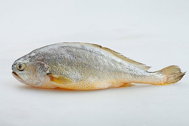 芭乐视app下载旧版本大全免费｜“芭乐视APP旧版一键找回，车主便捷出行新体验”-2