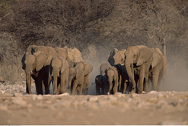 18岁禁止软件｜青春护航，安全启航，智慧驾驶新时代-2