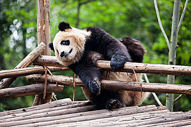 这里只有精品6｜驾驭未来，时尚先锋，品质之选，尽在潮流新驾界-4