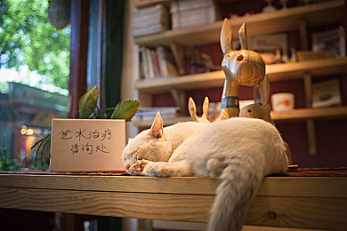 荷兰农场主七个女儿|农场绿动力,创新汽车新篇章-2