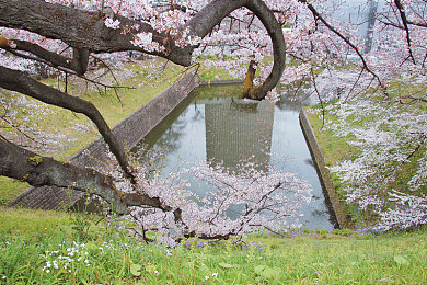 葵司VS黑人巨大根｜未来动力先锋，豪华驾驭新篇章-4