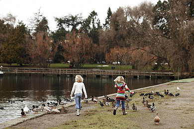 成欢阁|“独树一帜设计,卓越性能引领潮流:揭秘全新车型在汽车市场的亮眼表现”-3
