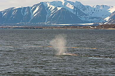 男女插插插软件｜汽车行业创新启示：跨界合作，智能驾驶技术再升级，打造便捷出行体验-2