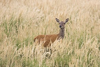 公与淑婷厨房猛烈进出69|公与淑婷惊艳上市,卓越性能与独特设计引车迷热议!-3