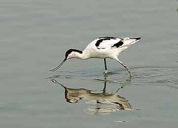 cg51今日爆料|全新车型震撼来袭:高效动力+智能配置,引领高品质驾驶新潮流-2