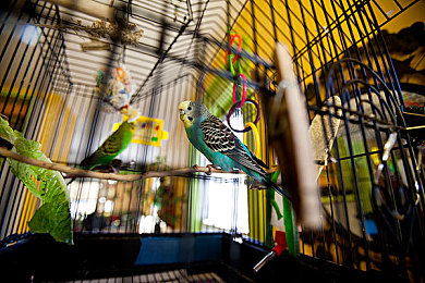 阿娇被揉到高潮下不了床｜阿娇SUV上市引热议：动力强劲，驾驶体验高潮迭起，消费者期待值飙升-1