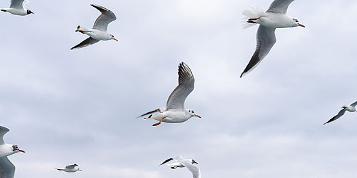 东京热混交群体交乱｜引领潮流，＂东京热＂风潮下全新车型惊艳登场，都市年轻族首选座驾-1