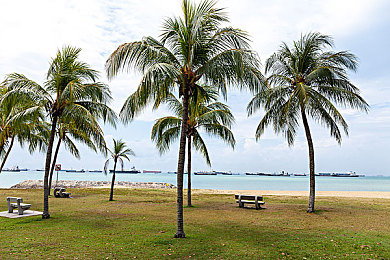 20大黄色软件|智能驾驶引擎驱动,本土创新助力汽车软件产业升级,揭秘引领行业发展的核心科技-3