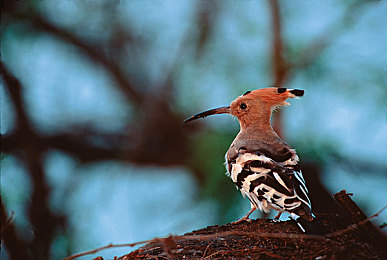 十八岁以下禁止下载|科技浪潮下,守护青少年健康成长:汽车行业推出青少年专属资讯与活动-1