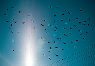 网曝黑料｜知名汽车品牌陷信任危机：发动机故障频发，制动失灵安全隐患引担忧-3