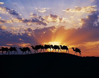 s把m骂湿的词汇|驾驭卓越,品质之选:S车型挑战自我,革新中型轿车市场-3