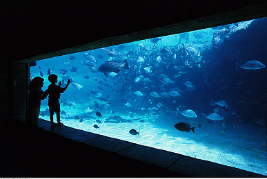 8x8x海外华为永久更新入口在哪｜华为智能汽车海外升级秘籍揭晓：便捷入口带你领略最新科技风采-4