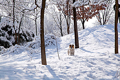 三上悠亚三级片｜自然线条流光溢彩，智能驾驶未来启航-3