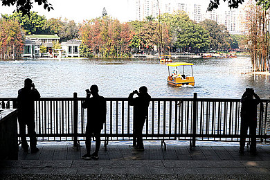 好莱污｜好莱坞奢华风潮，动感“好莱污”轿跑引领豪华新风尚-2