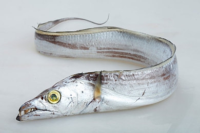 软件免费下载3.0.3每天更新|“智能驾驶助手3.0.3版升级发布,每日更新提升车主驾驶体验,助力汽车行业创新发展”-1