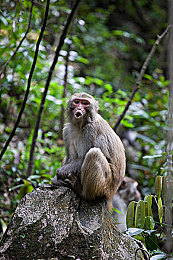 想要x x网站｜汽车资讯界的“全息透视窗，洞悉未来风向标”-2