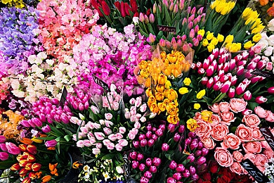 十八摸软件|创新驱动出行新体验,智能驾驶辅助系统引领行业变革-4