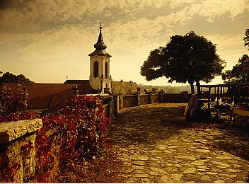 浓毛大泬近距离特写｜革新线条，动感驾享——浓墨重彩绘未来车韵-2