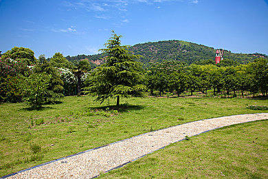 被迫穿高跟鞋调教捆绑｜“试驾新规引争议，汽车行业需重塑风尚，保障消费者权益”-2