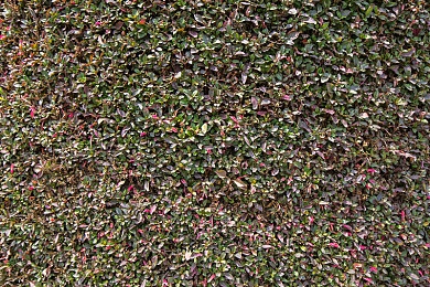 打扑克牌视频又叫又疼下载软件｜创新技术引领安全出行，智能驾驶辅助系统助力汽车行业新变革-2