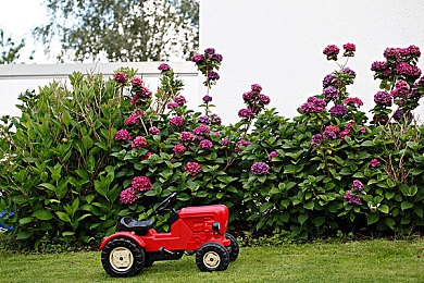 X姓女RAPPER的家乡特色｜山水美食，热情驾驭，家乡风华在行间-5