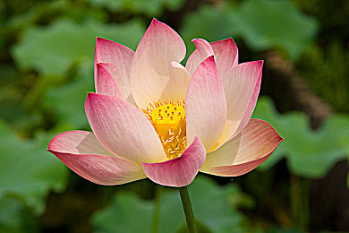 天天色天天射天天干｜新锐动力，豪华内饰，＂天天色＂车型惊艳登场，引领汽车市场新潮流-2