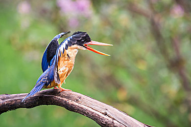 金银瓶1-5新版｜豪华升级，科技领航，新锐之选，引领未来汽车潮流-1