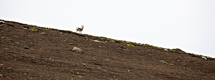 年轻少妇的特殊按摩|汽车行业新宠:“年轻少妇”按摩座椅,舒适体验引领时尚潮流-3