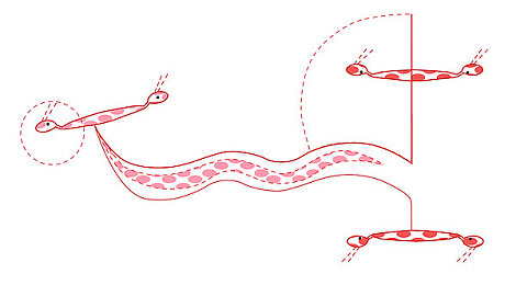 婷婷综合网|“电动未来,动感启航:比亚迪e5引领绿色出行新风尚”-2