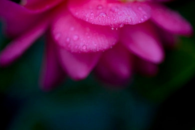 手机看片福利盒子｜汽车资讯盛宴，互动赢大奖，科技赋能新体验：汽车爱好者新宠应用来袭-4