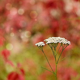 乌兰图雅真人入B毛片｜新能源风采，乌兰图雅驶向品质未来-3